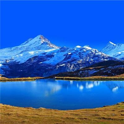 上海麻将手机app下载截图