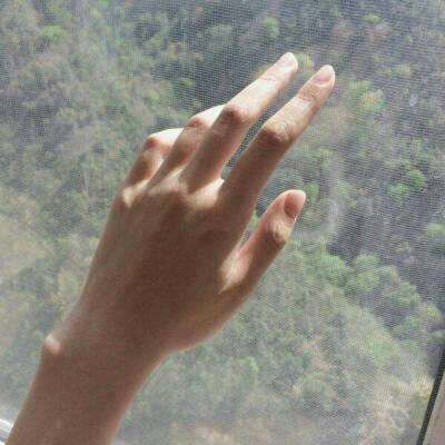 加拿大pc软件平台手机app下载