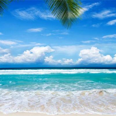 星空线上官网手机app下载截图