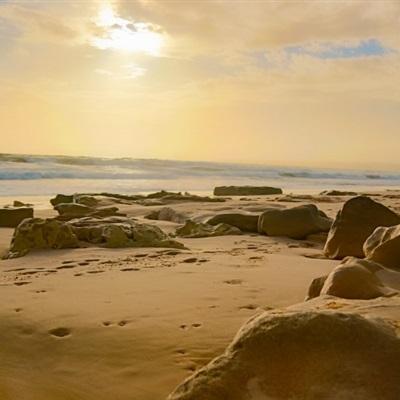 BOB体育综合入口app下载