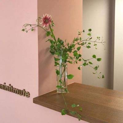 乐鱼app官方下载