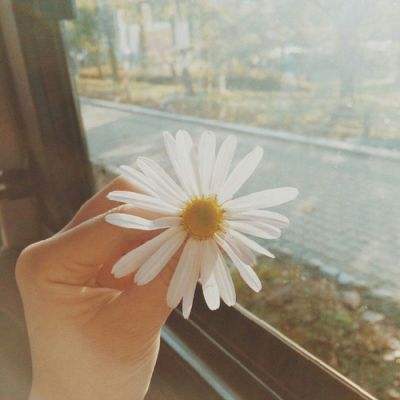 bat365在线唯一官网登录