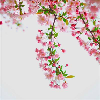 香港最准资料免费公开